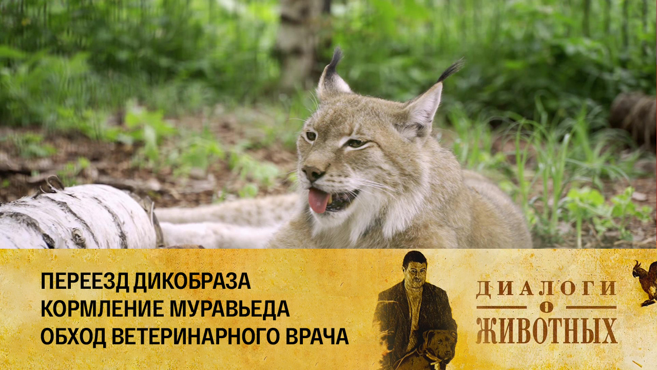 Калининградский зоопарк