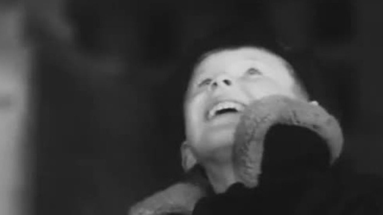 Год 1961
