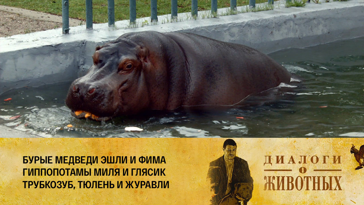 Калининградский зоопарк