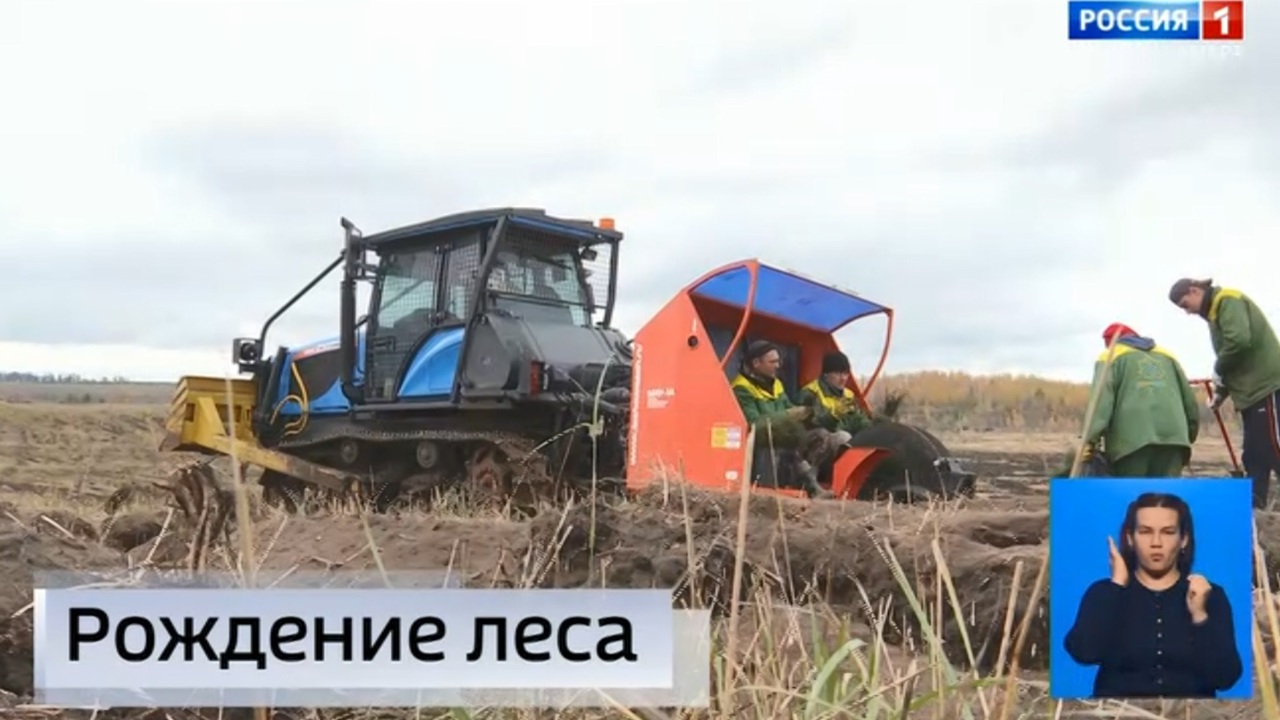 Эфир от 07.11.2022 (09:00)