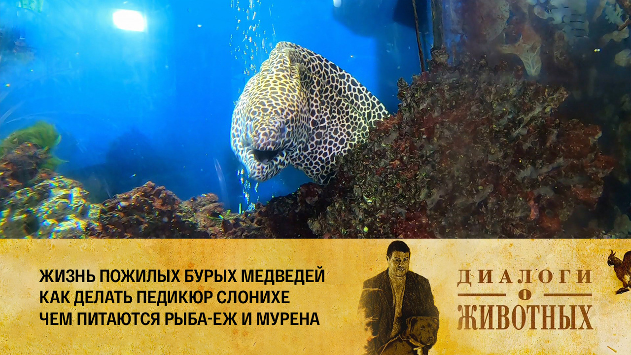 Калининградский зоопарк