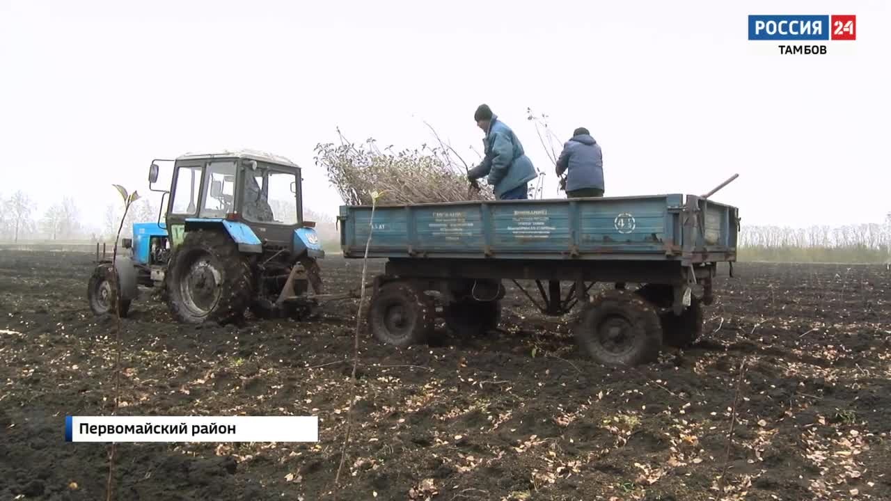 Эфир – 13.11.2022