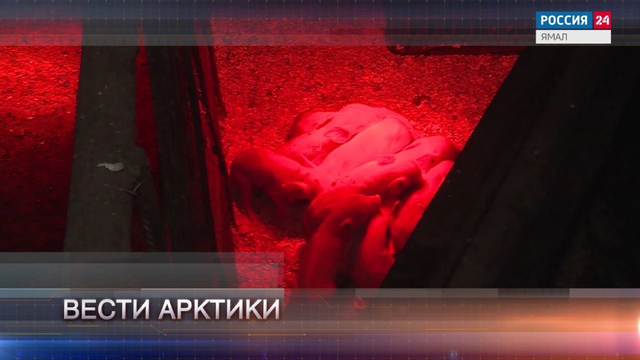 Эфир от 12.11.2022