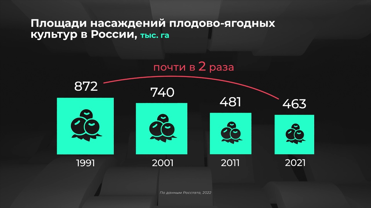 Россия в цифрах. Сколько вырастили плодов и ягод?