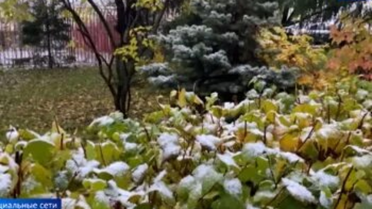Эфир от 13.11.2022 (08:00)