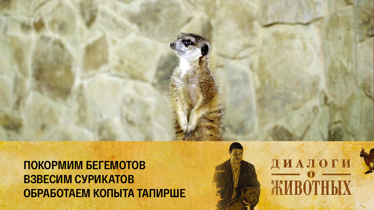 Калининградский зоопарк
