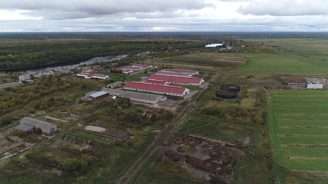 "За городом". 16.11.2022