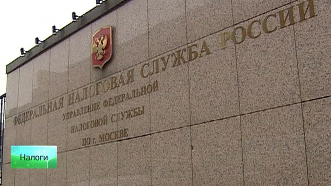 Программа "Налоги" от 31 октября 2013 года