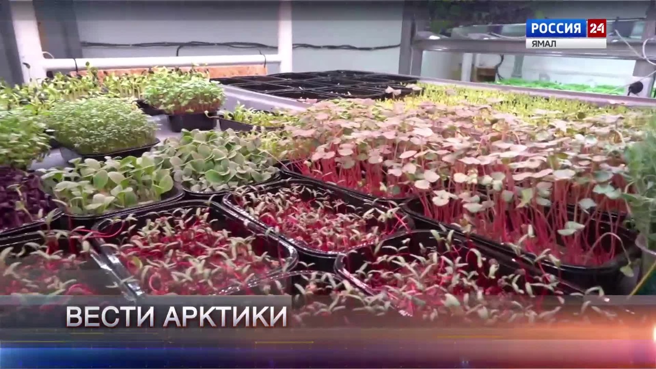 Эфир от 19.11.2022