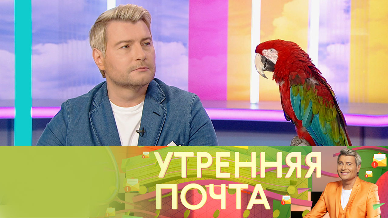 Эфир от 20.11.2022