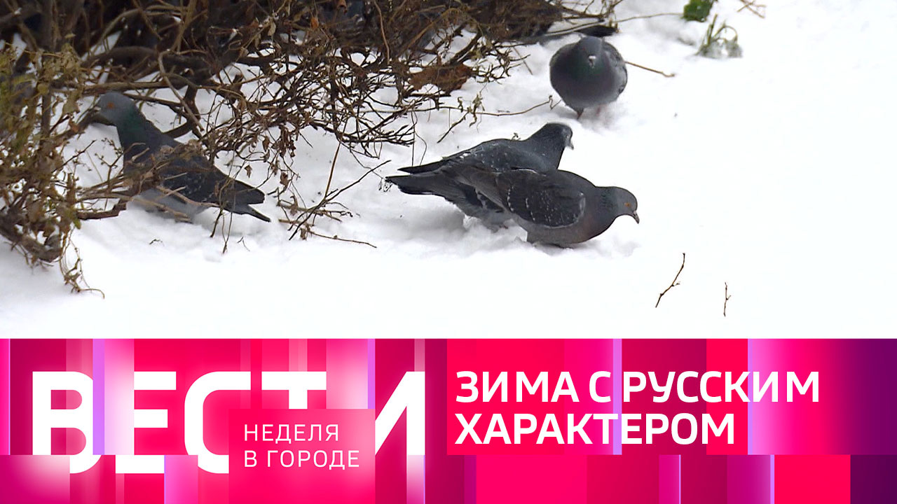 Эфир от 20.11.2022