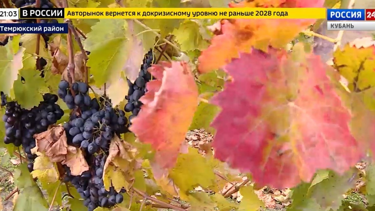 Эфир от 22.11.2022 (21:00)