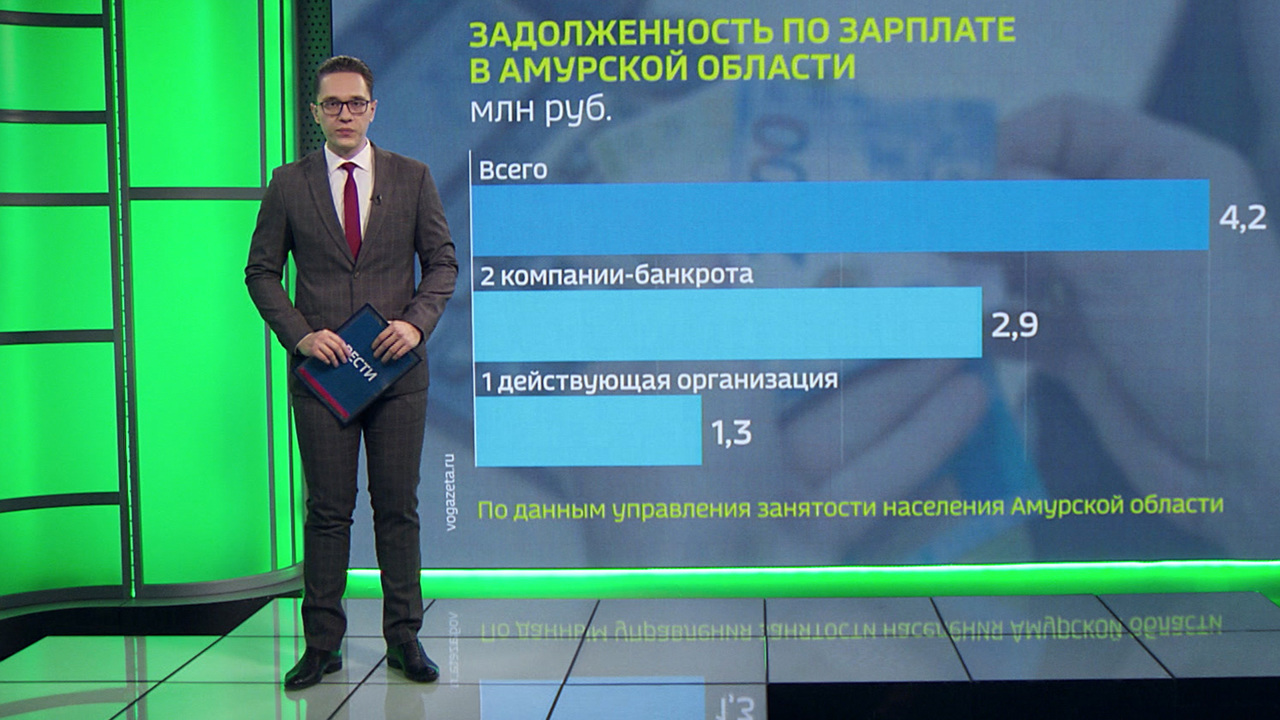 На 4 миллиона рублей за неделю уменьшилась задолженность по зарплате в Приамурье