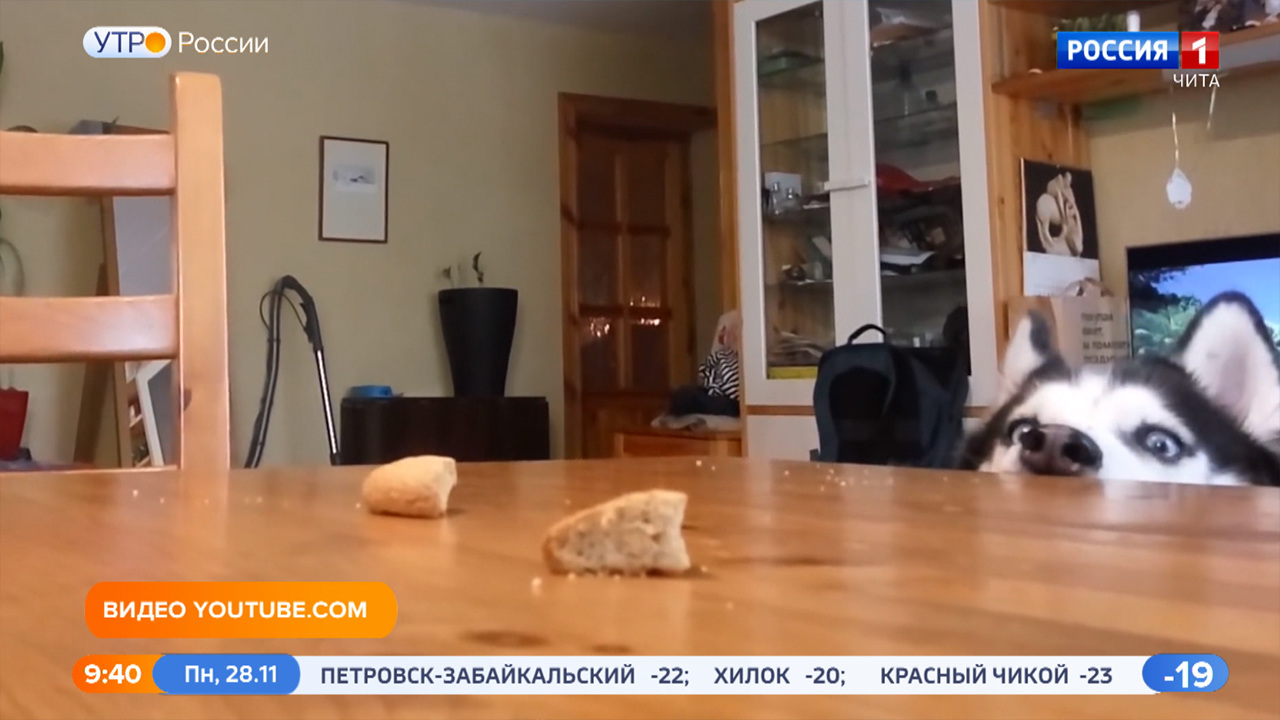Эфир от 28.11.2022