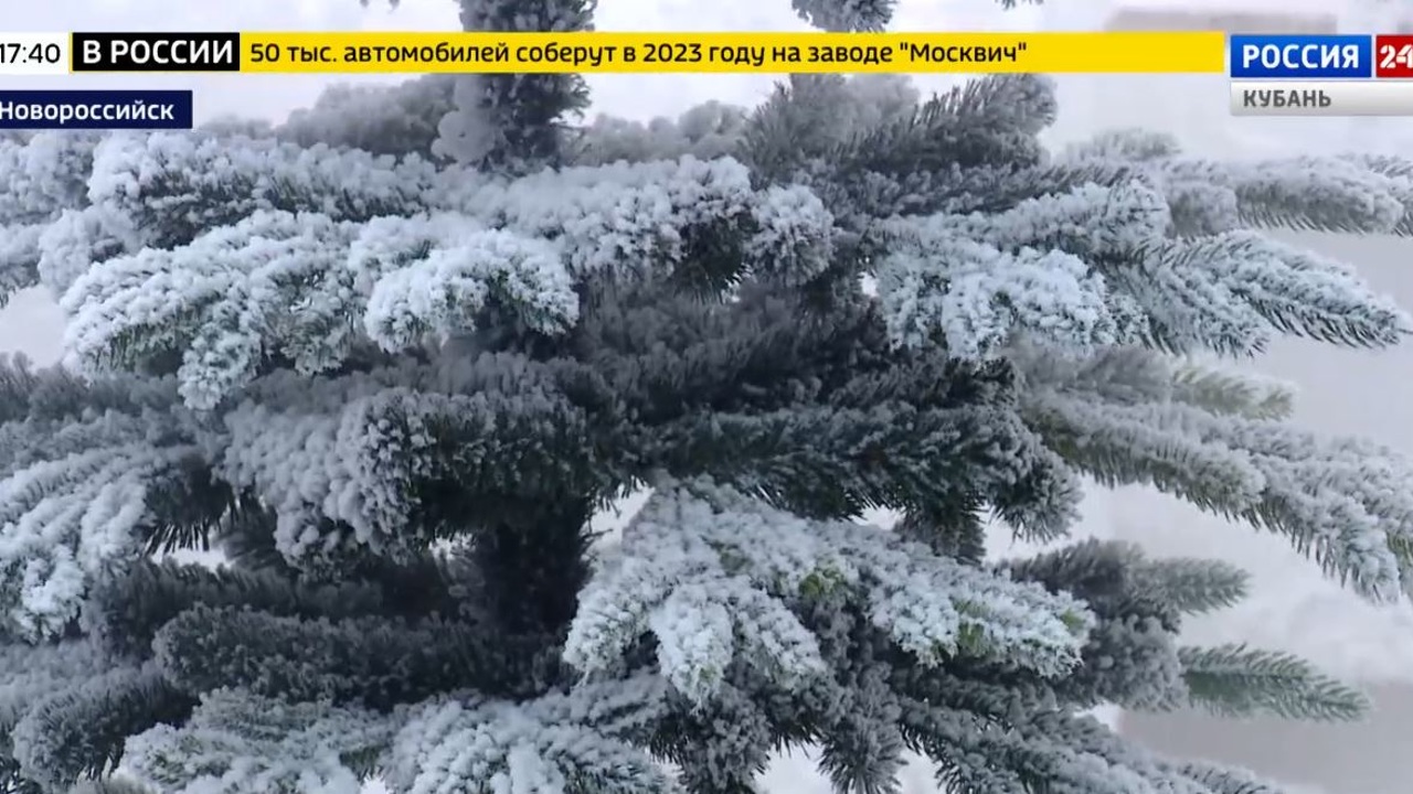 Эфир от 28.11.2022 (17:30)