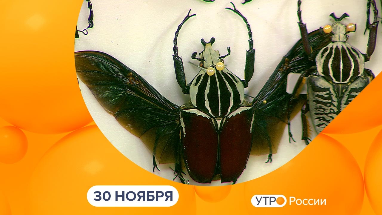 Эфир от 30.11.2022