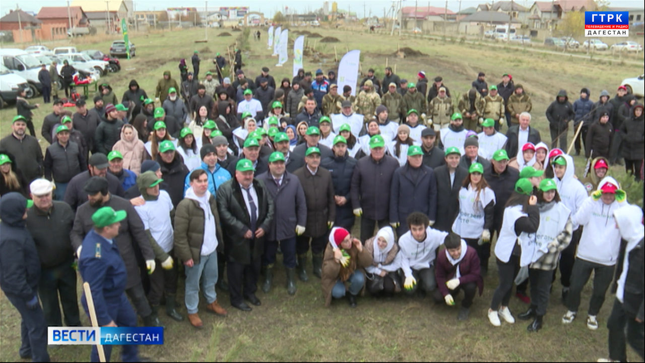 Эфир от 29.11.22