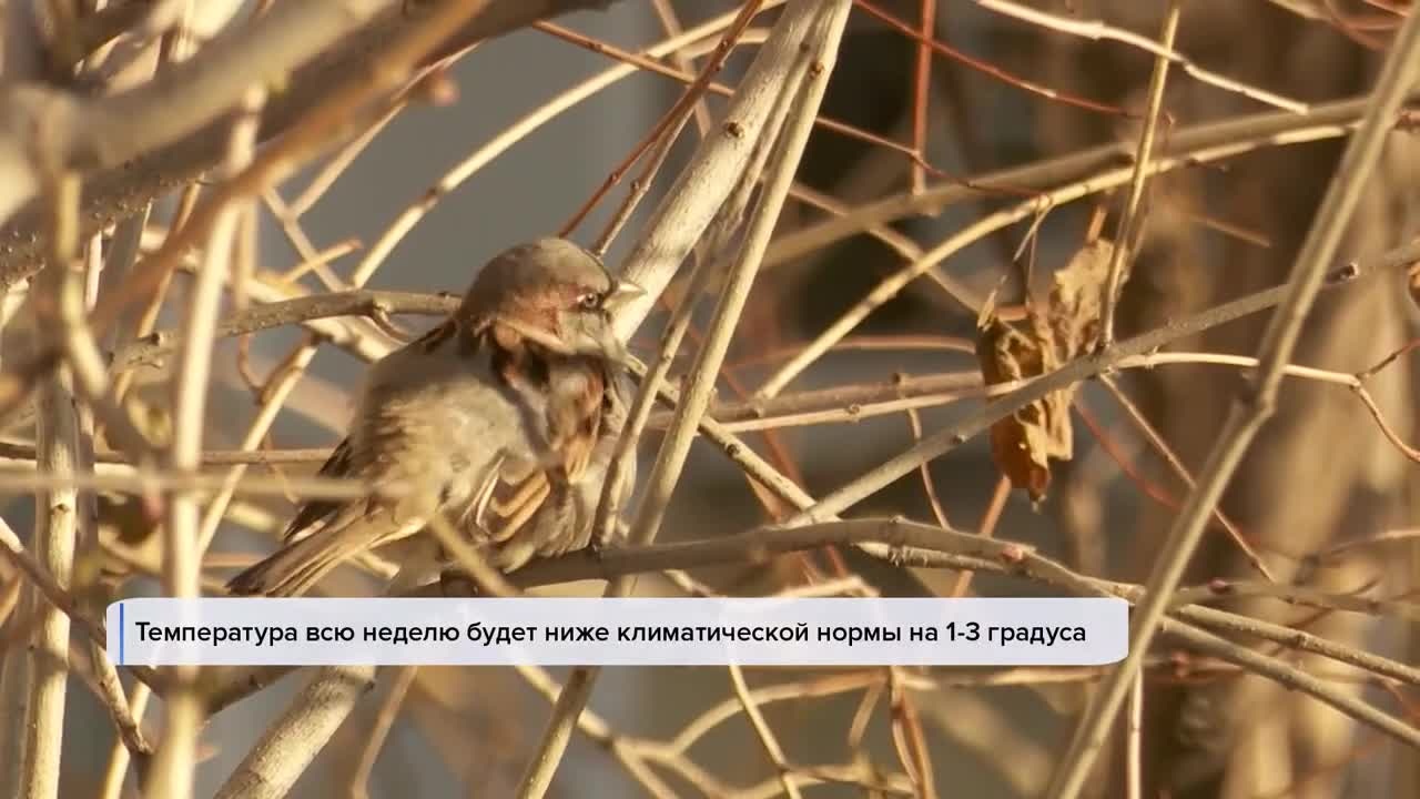 Эфир от 30.11.2022