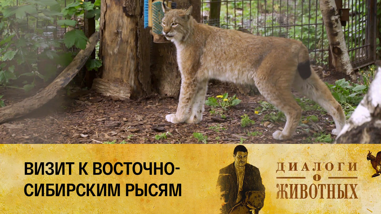 Калининградский зоопарк