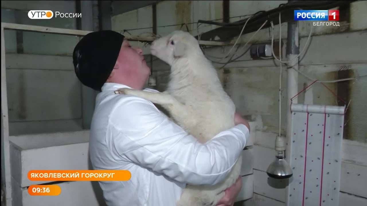 Эфир от 01.12.2022