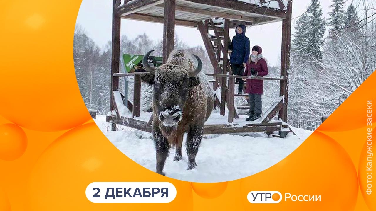 Эфир от 02.12.2022