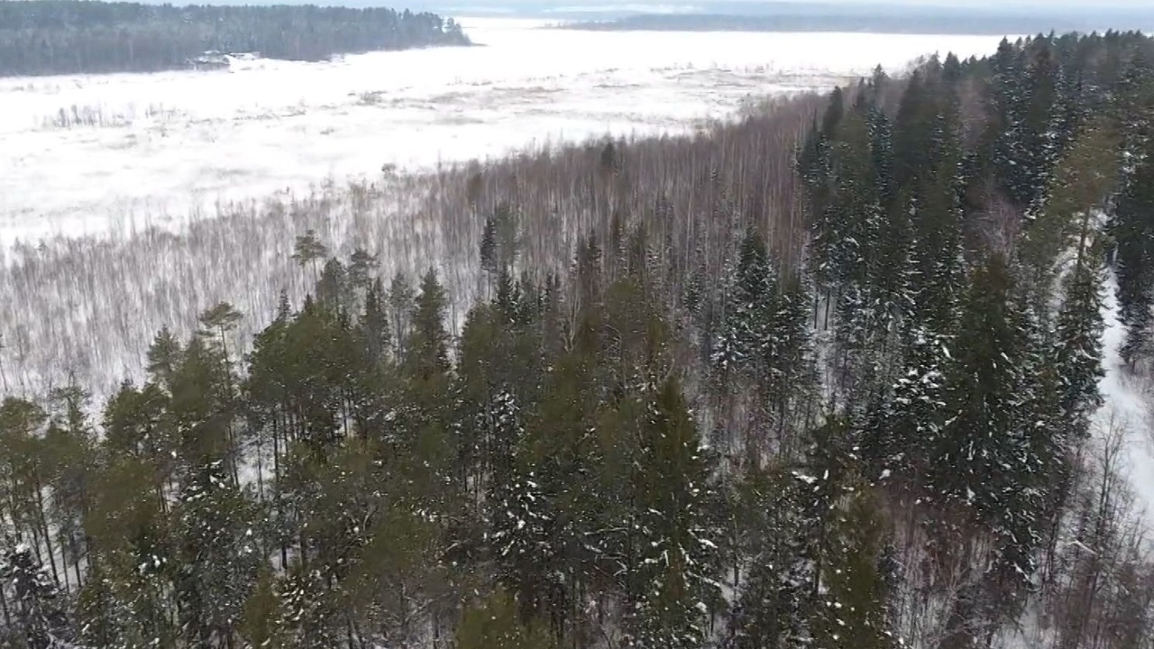 Эфир от 02.12.2022