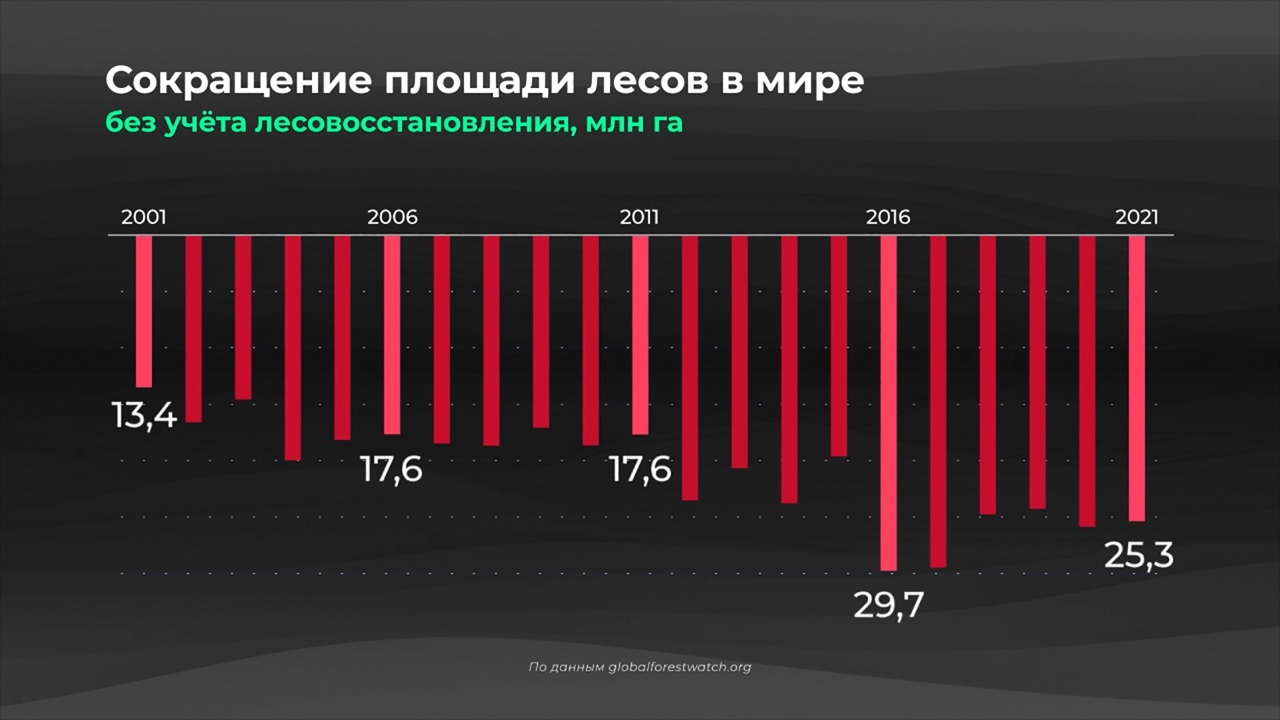 Мир в цифрах. Из-за чего исчезают леса?