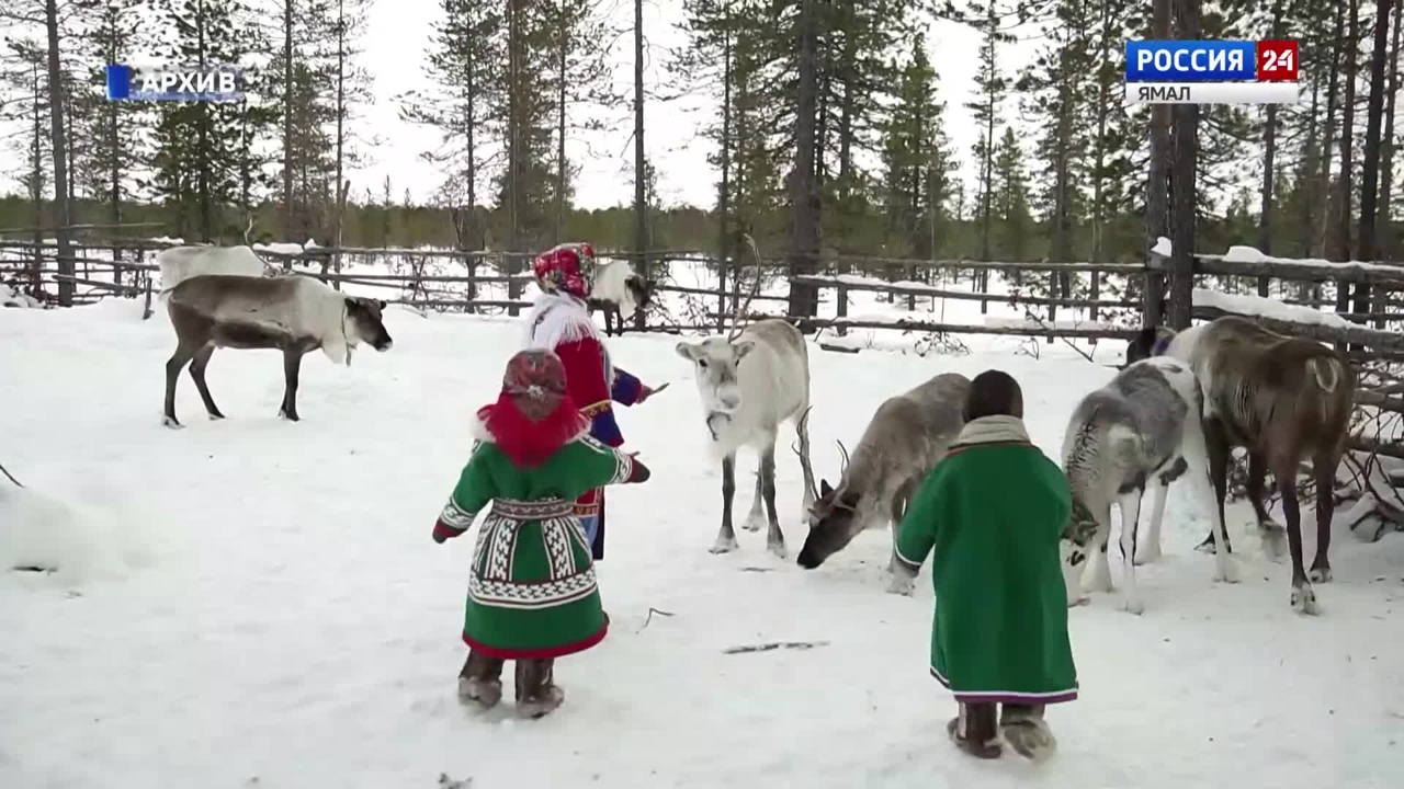 Эфир от 04.12.2022