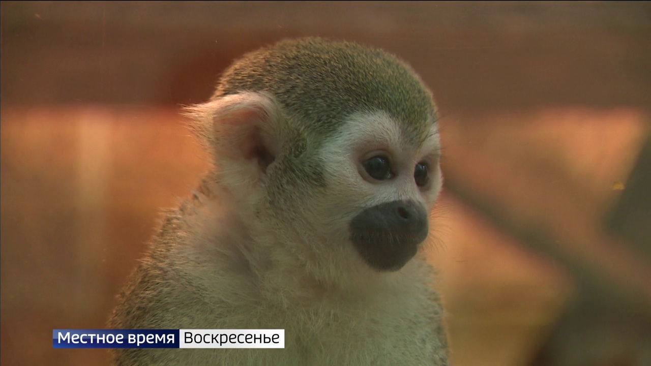 Эфир от 04.12.2022