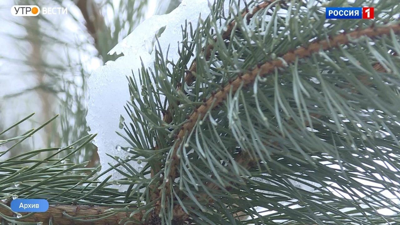Эфир от 06.12.22 (07:35)