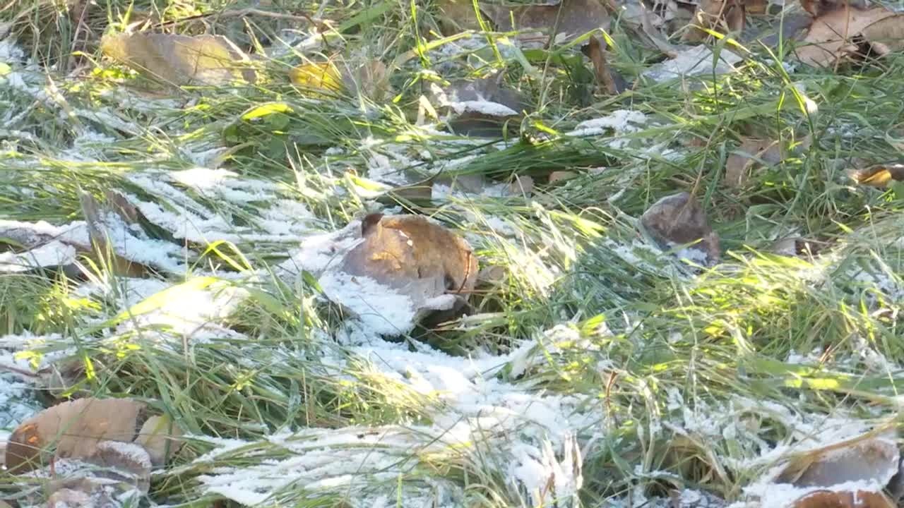Эфир от 08.12.2022