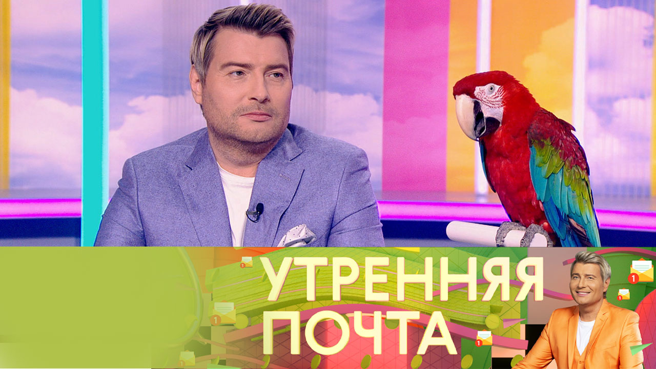 Эфир от 11.12.2022