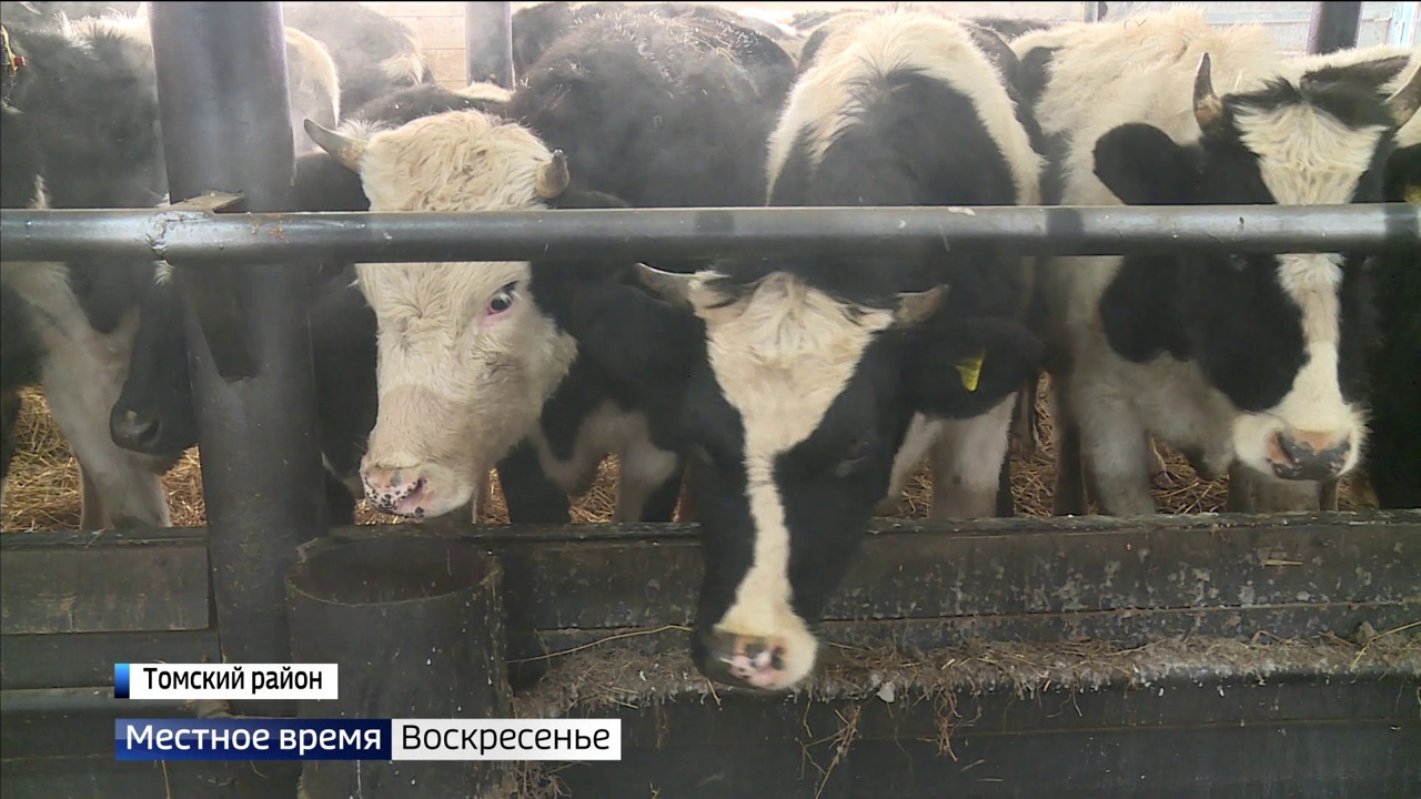 Эфир от 11.12.2022