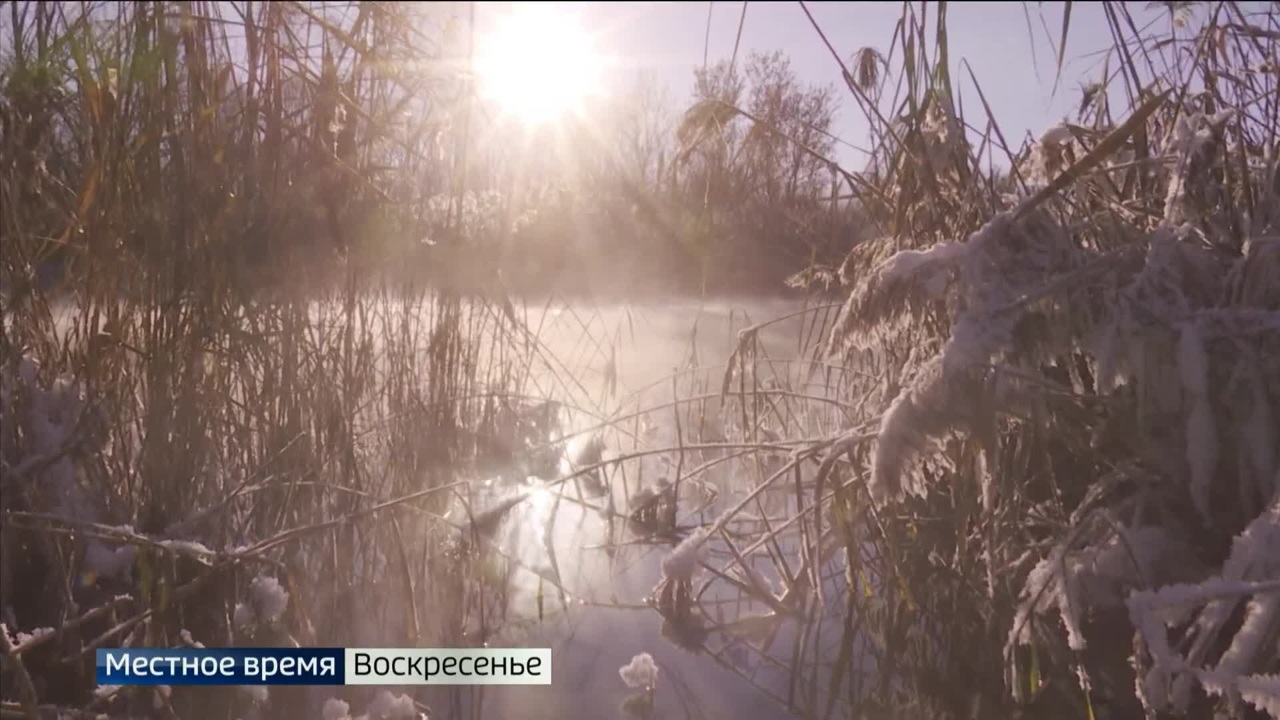 Эфир от 11.12.2022