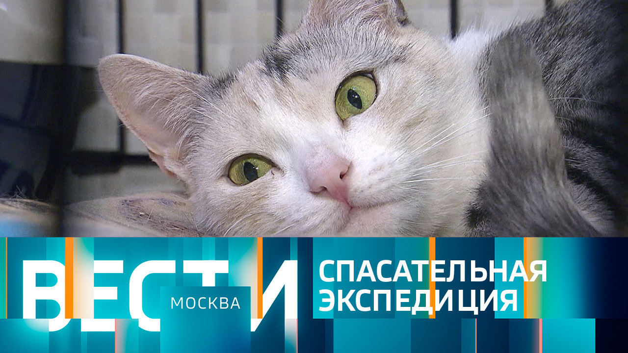 Эфир от 13.12.2022 (21:05)