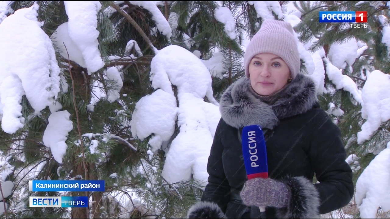 Эфир от 15.12.2022 (21:05)