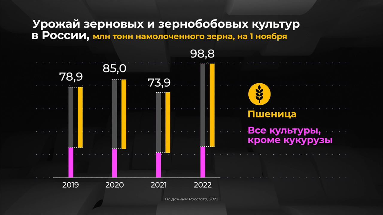 Россия в цифрах. Где больше всего вырос урожай пшеницы?