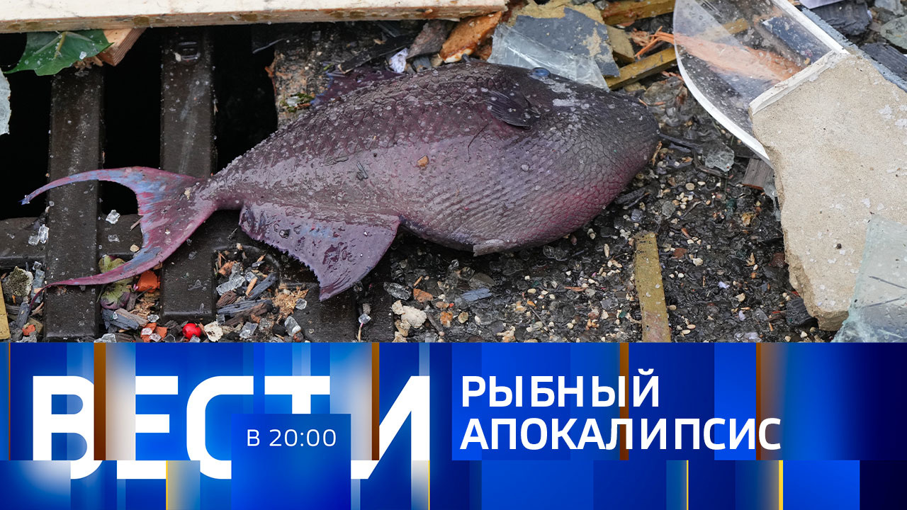 Эфир от 16.12.2022