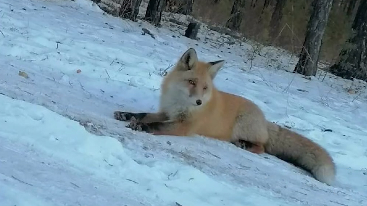 Эфир от 16.12.2022