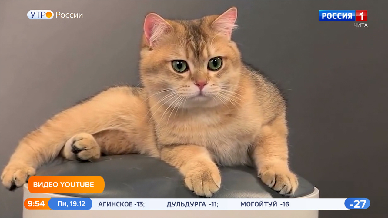 Эфир от 19.12.2022