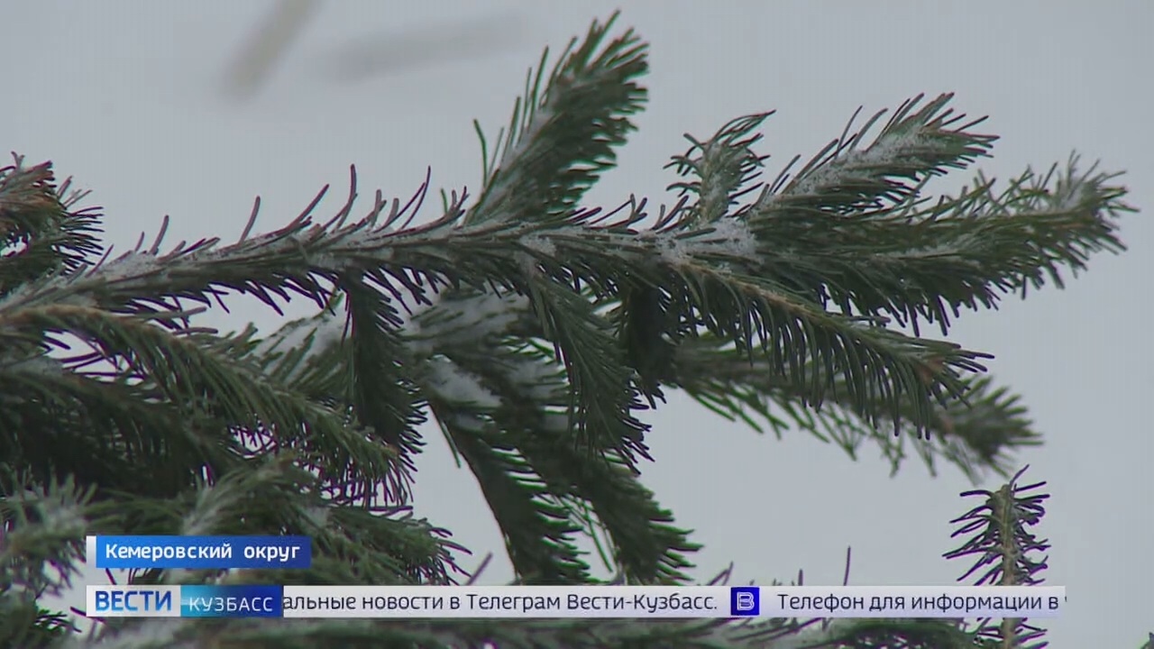 Эфир от 20.12.2022 (09:00)