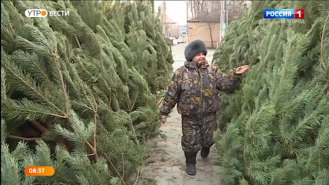 Эфир от 21.12.2022