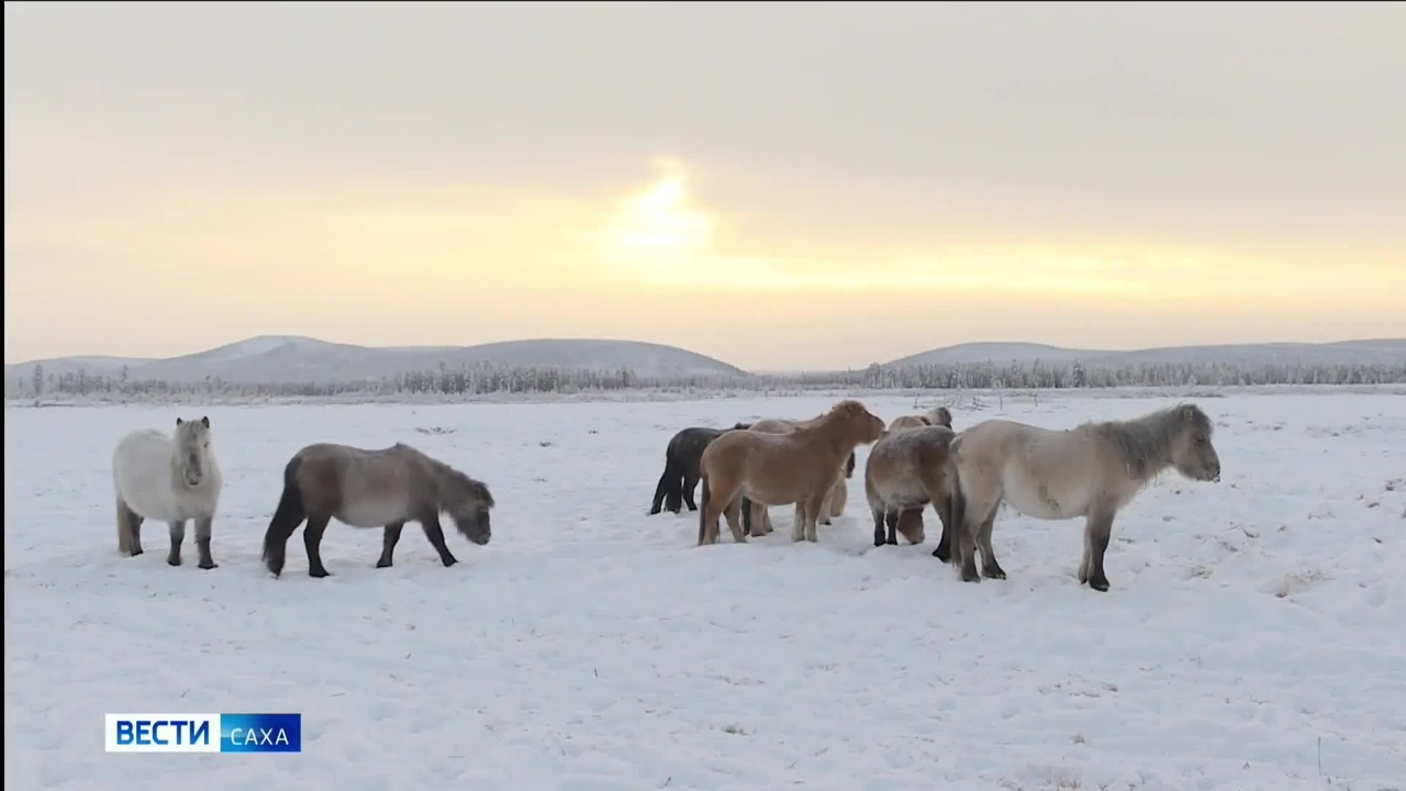 Эфир от 21.12.2022 (14:30)