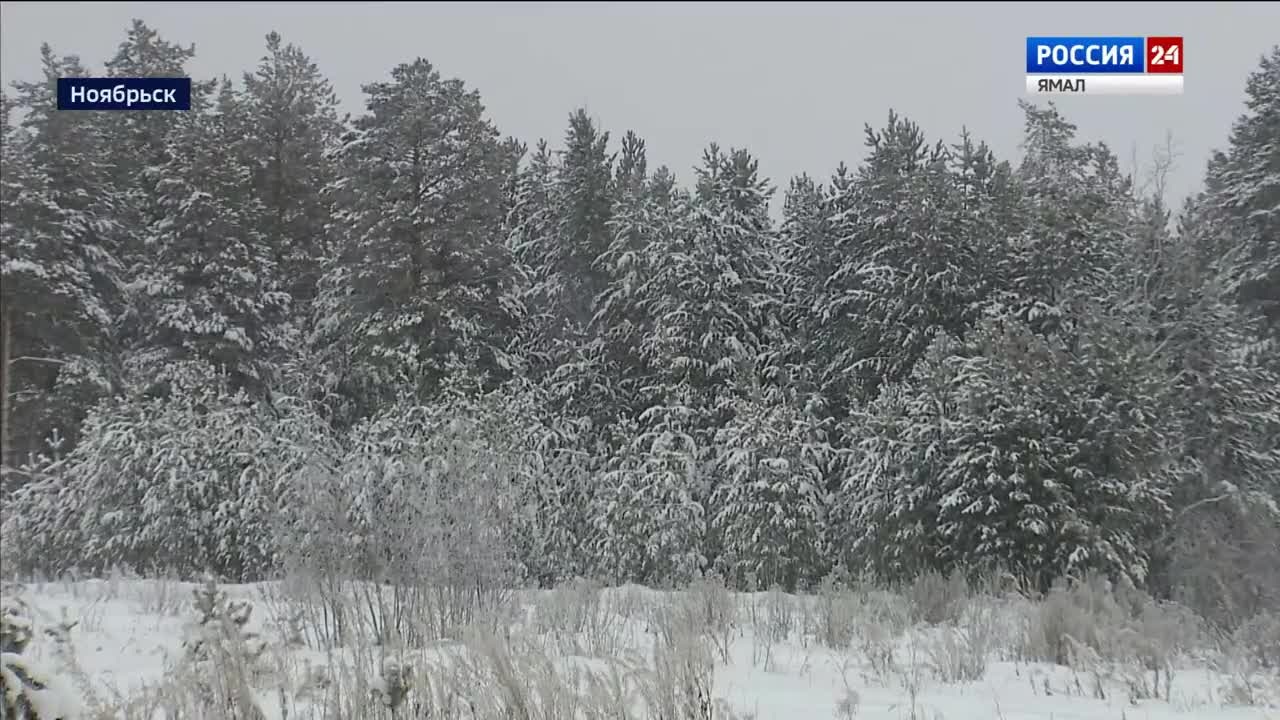Эфир от 21.12.2022 (19:30)
