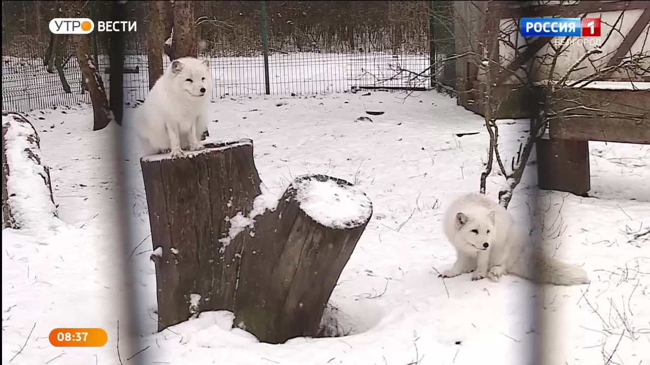 Эфир от 23.12.2022