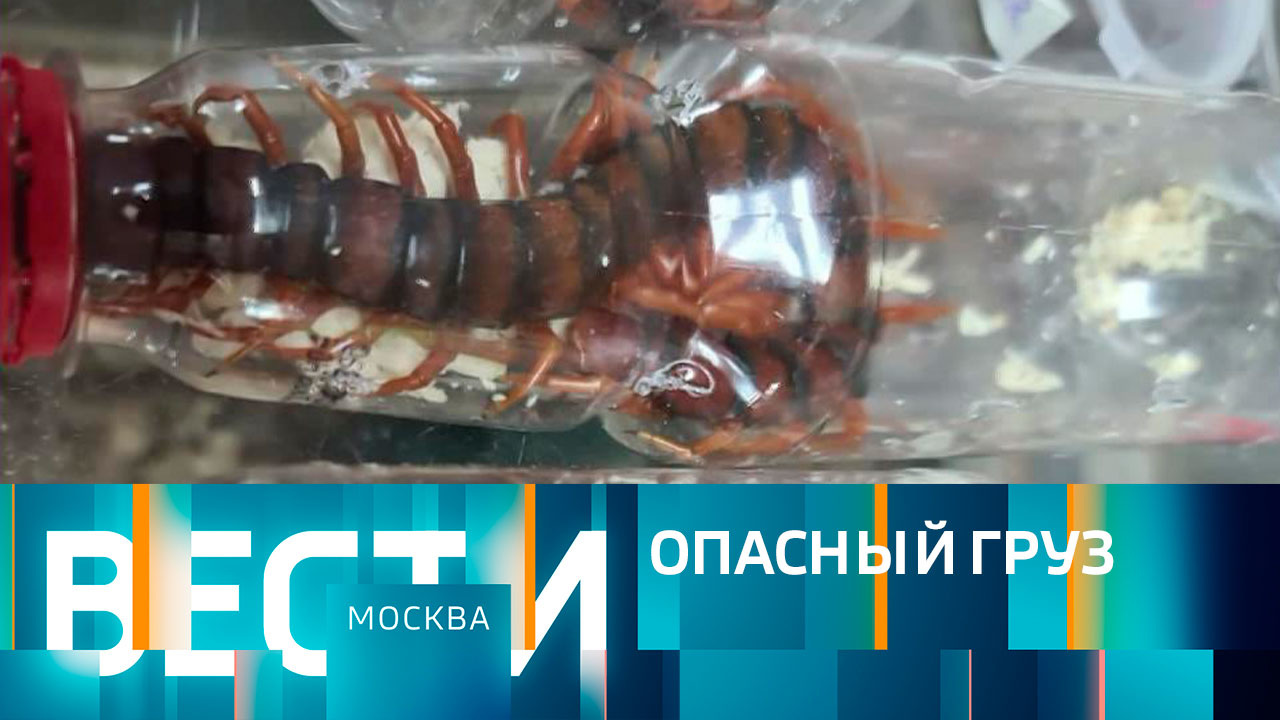 Эфир от 23.12.2022 (14:30)
