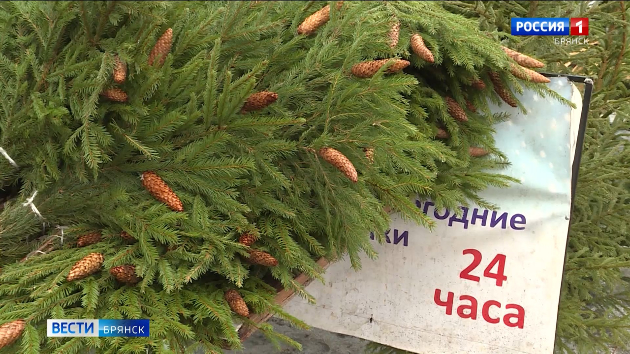 Эфир от 23.12.22 (14:30)
