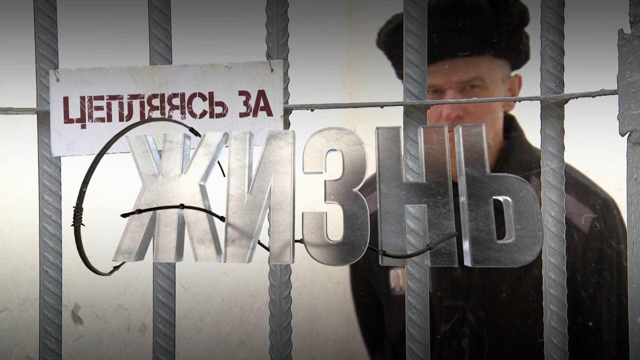Цепляясь за жизнь