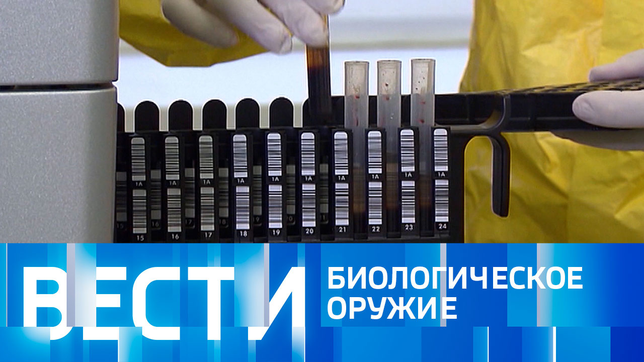 Эфир от 24.12.2022 (11:00)