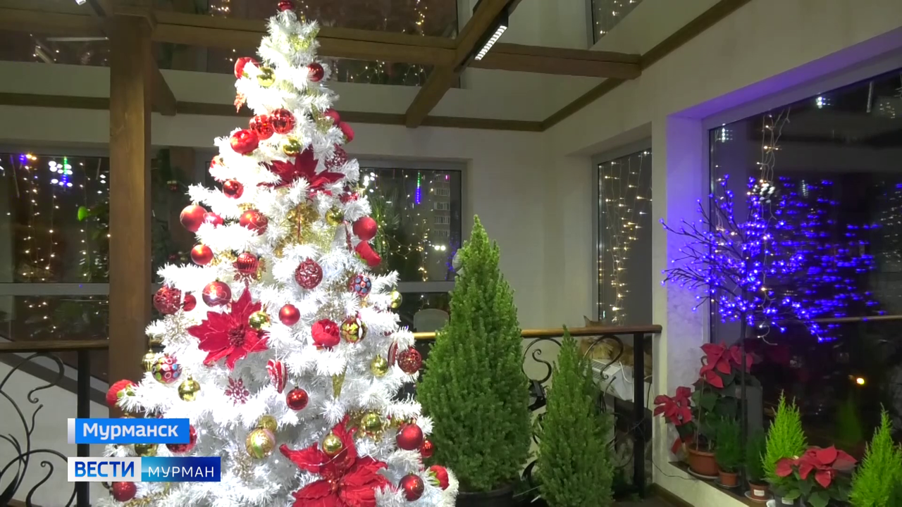 Эфир от 23.12.2022